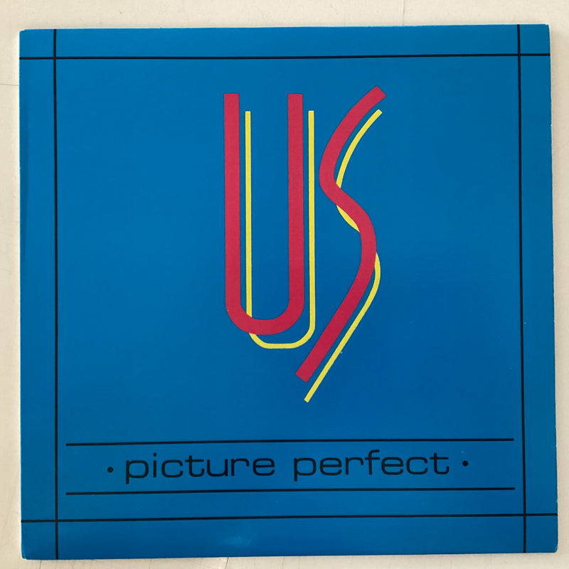 US = PICTURE PERFECT (CDN 1988) (USED)