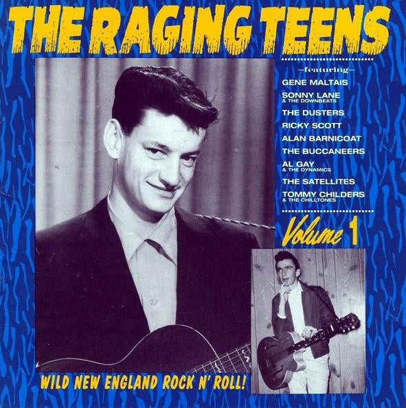 RAGING TEENS: VOL. 1 (USED CD)