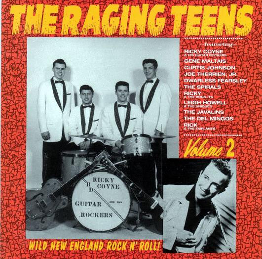 RAGING TEENS: VOL. 2 (USED CD)