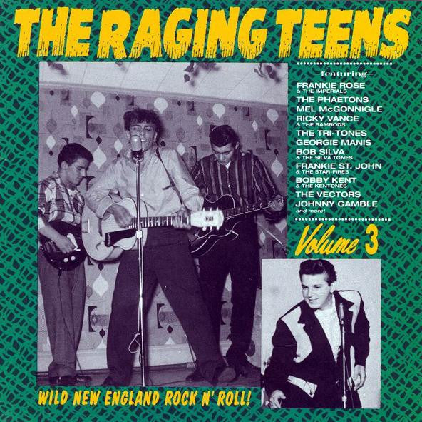 RAGING TEENS: VOL. 3 (USED CD)